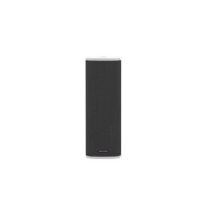 Hikvision DS-QAZ14A2G1(O-STD) PoE Ceiling Speaker