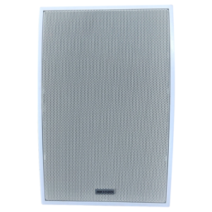 Hikvision DS-QAE0120G1E-V(O-STD) – مكبر صوت سقفي PoE